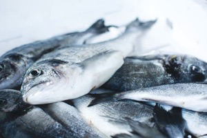 Fishy Seafood and the Safer Options